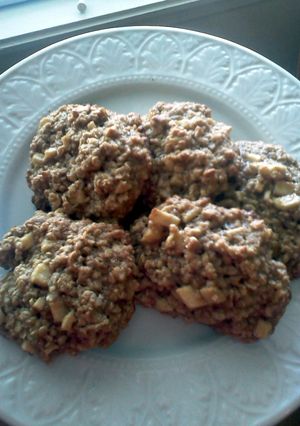 A picture of andy's grandmas oatmeal cookies.
