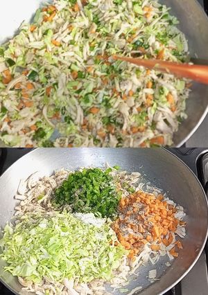 A picture of Chinese Filling 🇨🇳🇨🇳🥕🫑🥬.