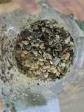 Tisane digestive du soir