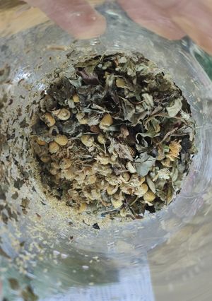 Une photo de Tisane digestive du soir