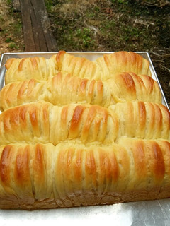 Foto resep Wool Roll Bread /Roti sobek kekinian