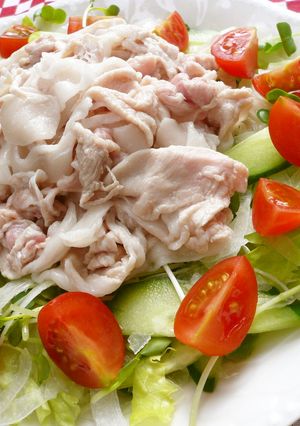A picture of Chilled Pork Shabu Salad with Lots of Vegetables.