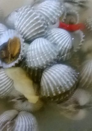 Foto resep Pindang Kerang