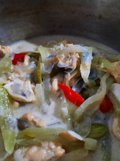 Foto resep Jangan Ndeso (me : pake labu siam)