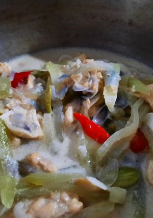 Foto resep Jangan Ndeso (me : pake labu siam)