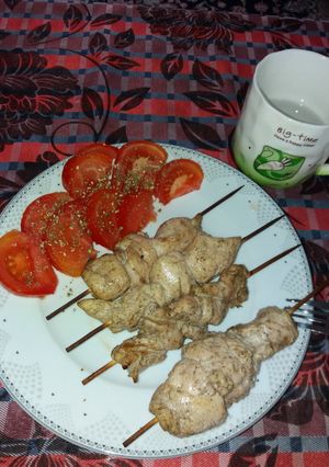 عکسی از دستور کباب رژیمی