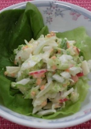 A picture of Coleslaw salad with apple.