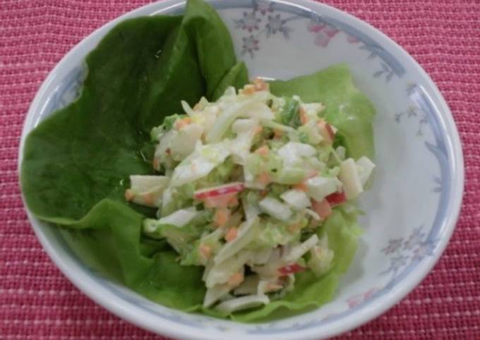 Simple Way to Make Quick Coleslaw salad with apple