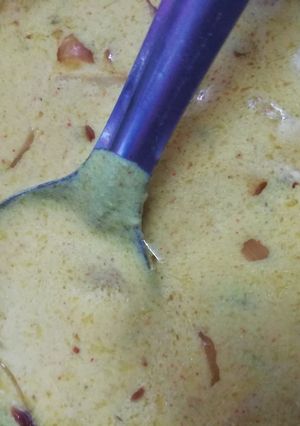 A picture of Roasted besan kadhi.
