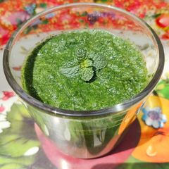 A picture of Mint,Chilli Chutney 🌿🌿.