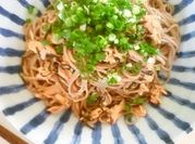 A picture of cold soba