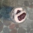 289. Froyo (Frozen Yogurt) choco banana