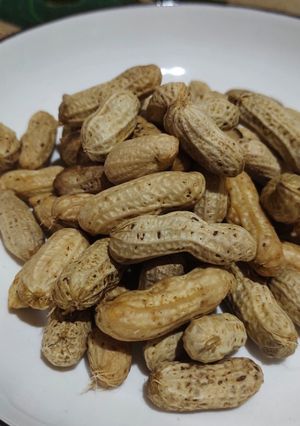 Foto resep Kacang Tanah Rebus