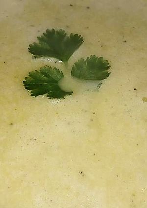 Una foto de Crema de verduras a lo Carmelita