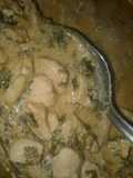 Salsa crema con pollo