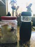 How to Make Sugar Syrup and Salted Eggs
