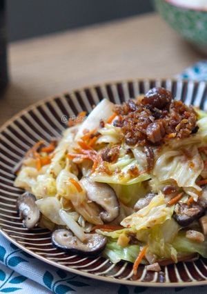 #277 XO醬炒高麗菜 的食譜成品照片