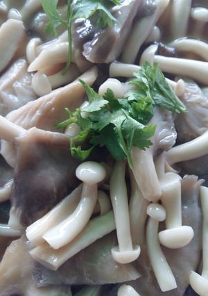 รูปของ เห็ดภูฐานผัดน้ำมันหอย