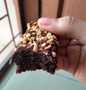 Langkah Mudah untuk Membikin Resep Brownies shiny crust yang  Bikin Ketagihan Anti Ribet, Lezat