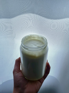 Una foto de Yogur griego casero 🥛