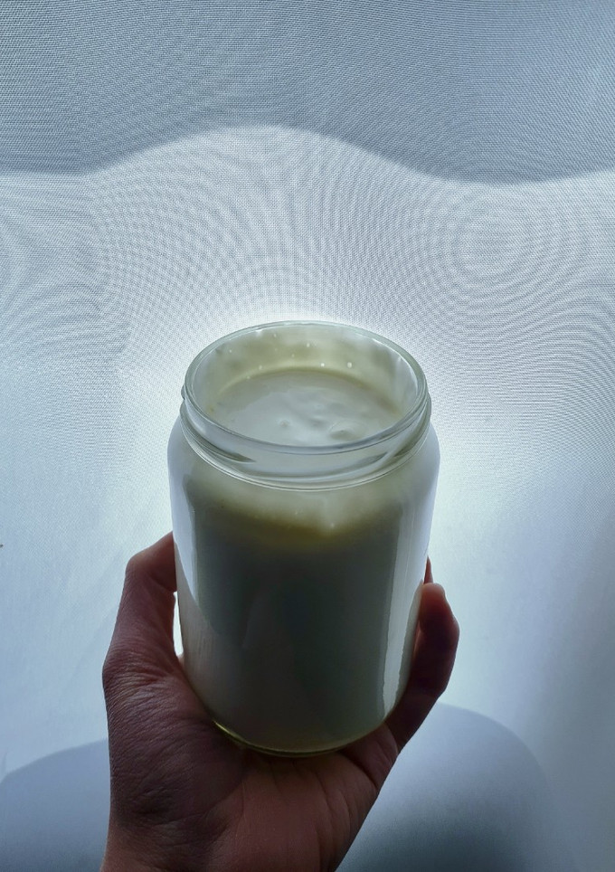 Una foto de Yogur griego casero 🥛
