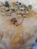 Delicias libanesas (Znoud el Sit)
