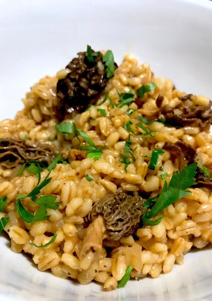 Una foto de Orzotto con hongos colmenilla