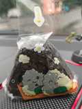 Onigiri Tuna Flakes