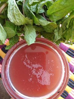 তরমুজ পুদিনার ঠান্ডা শরবত (Tarmuj Pudinar Thanda Sarbat Recipe in Bengali) রেসিপির প্রধান ছবি