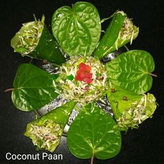 A picture of Fresh Paan coconut mouth freshner.