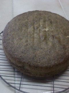 A picture of Poppy seed cake #authormarathon. #4weekschallenge.