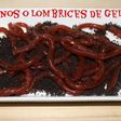 Lombrices/gusanos de gelatina