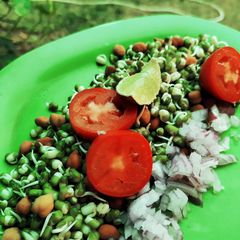 A picture of Healthy Sprouts.