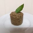 Paté de Champiñón al oporto