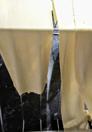 A picture of Homemade pasta.