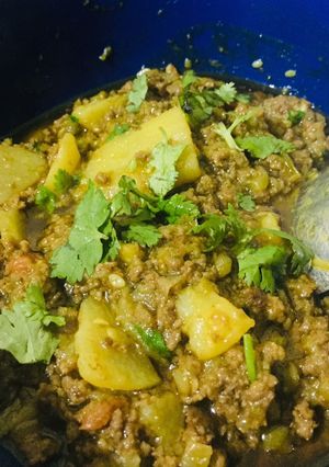 A picture of Mix keema with aloo.