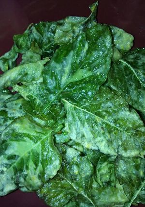 Foto resep Keripik bayam