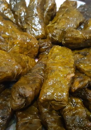 عکسی از دستور دلمه برگ مو