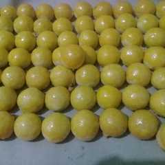 รูปของ Nastar cuby glowing