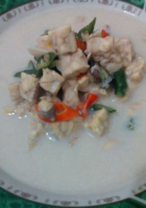 Foto resep Sayur lombok (lodeh tempe)