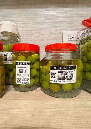 淺釀梅酒 的食譜成品照片