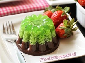 Foto resep Puding Lumut Pandan Cokelat gurih bangett