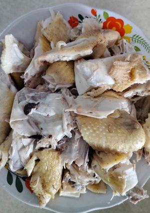 Foto resep Ayam Rebus