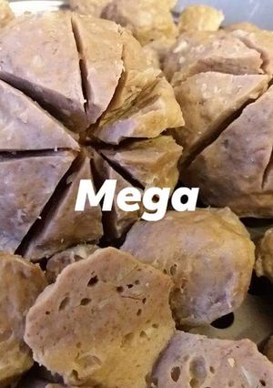Foto resep Bakso sapi dan ayam kenyal