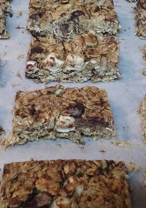 A picture of S'mores Granola Bars.