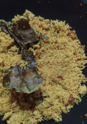 Foto resep Serundeng