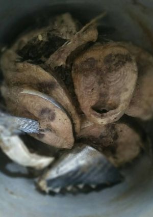 Foto resep Pindang tongkol