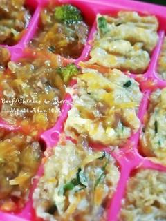 Foto resep [MPASI 10M+] Beef/Chicken/Liver in Gravy #2