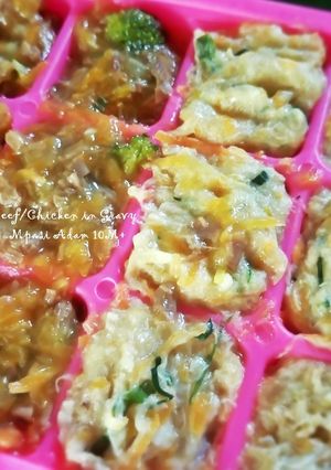 Foto resep [MPASI 10M+] Beef/Chicken/Liver in Gravy #2