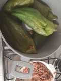 Pepinos relleno